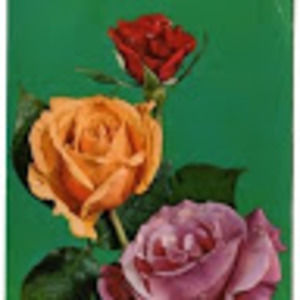 Meet your Posher, Catherine